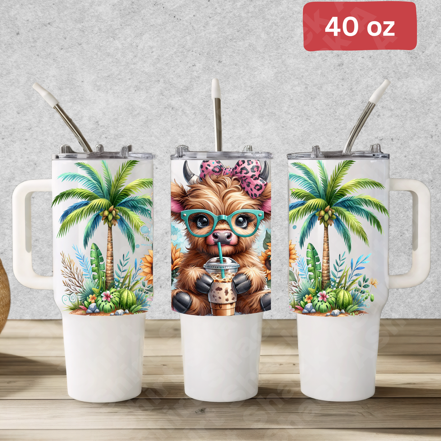 4209 summer highland cow