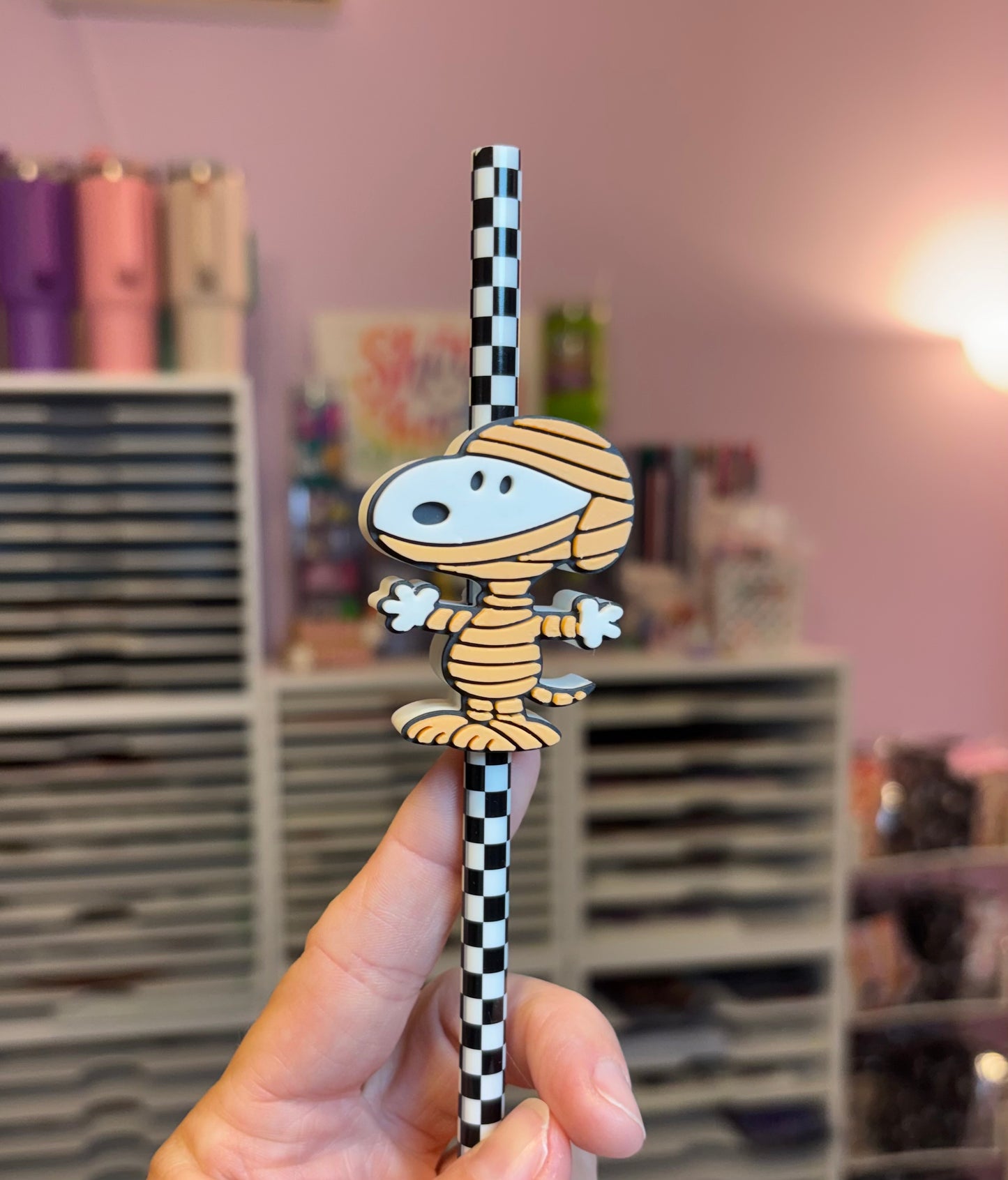Snoopy mummy