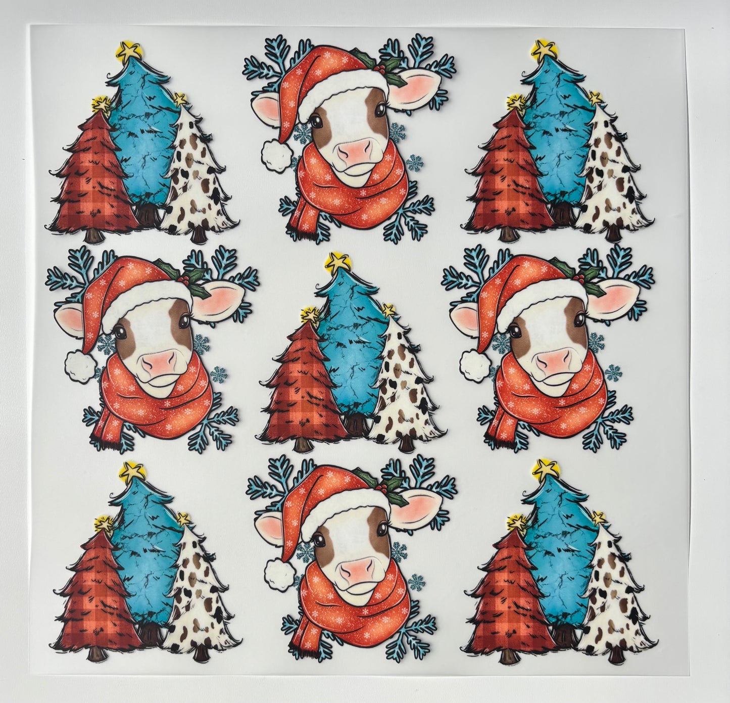 165 Santa Cow College