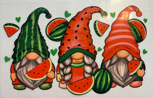 202 Watermelon Gnomes