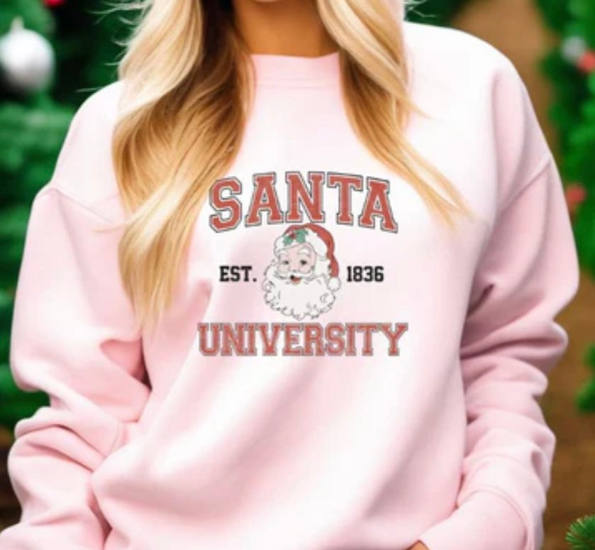 Santa University