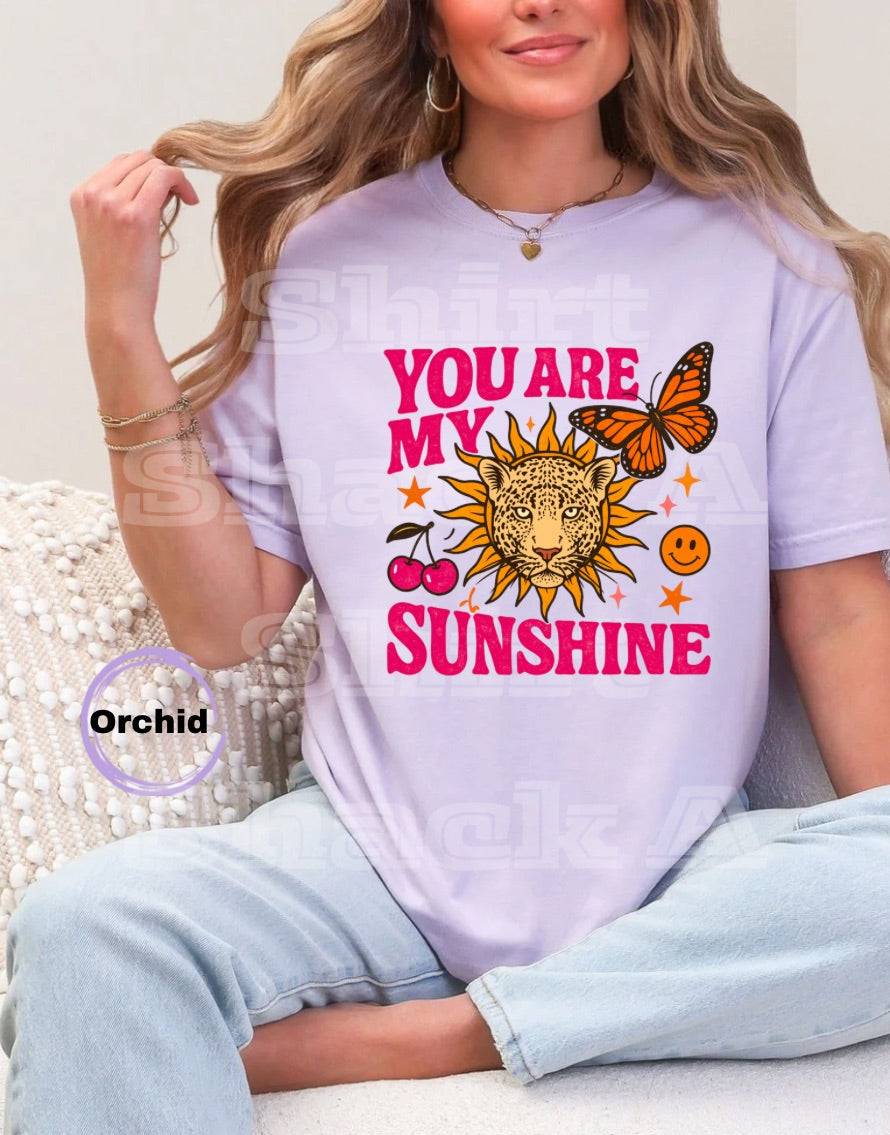 You Are My Sunshine