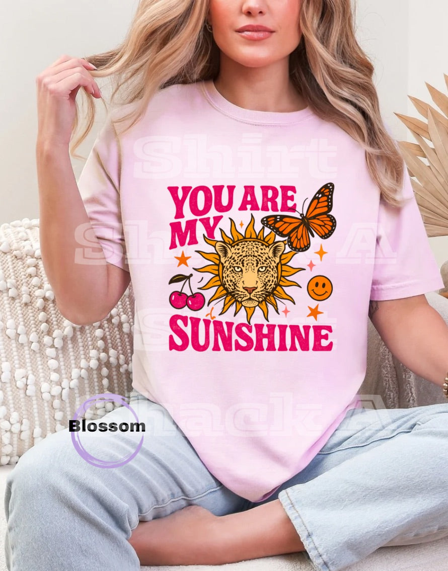 You Are My Sunshine