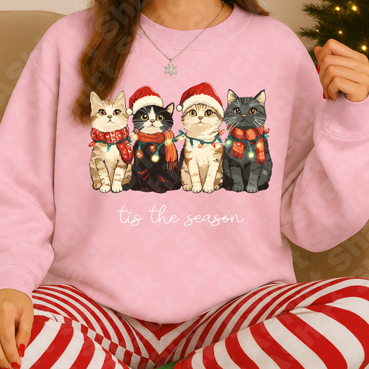 20D Christmas cats ￼￼