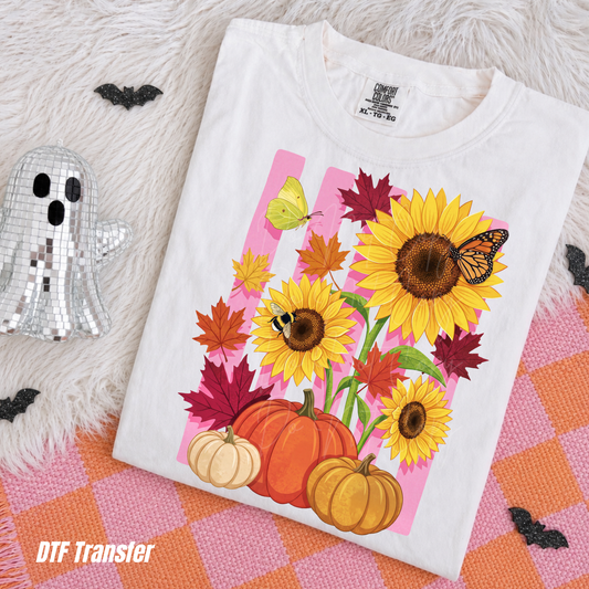 sunflower & pumpkins