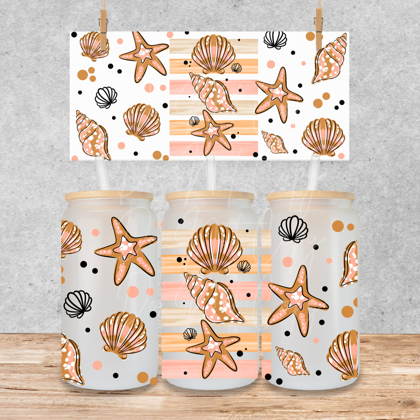 A35 seashells