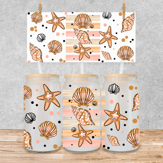 A35 seashells