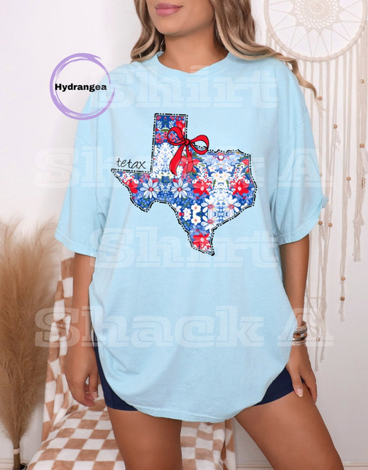 Red and Blue States