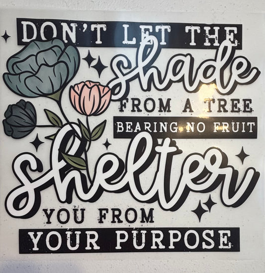 258 Shade From a Tree