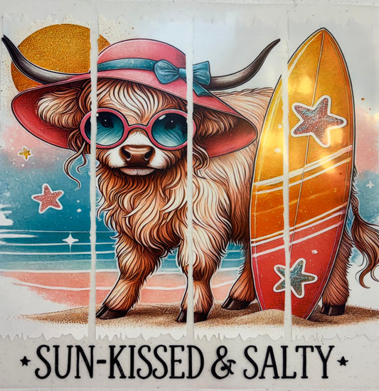 203 Sun-kissed & Salty Cow