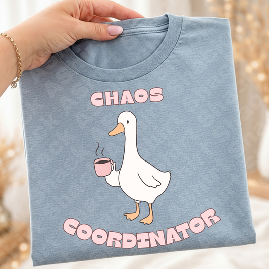 18E chaos coordinator ￼