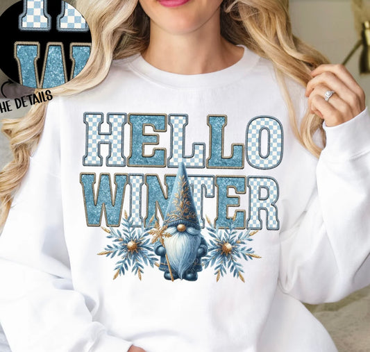 Hello Winter Gnome