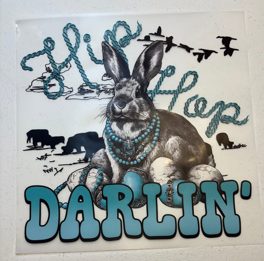 118 LC hip-hop darlin￼