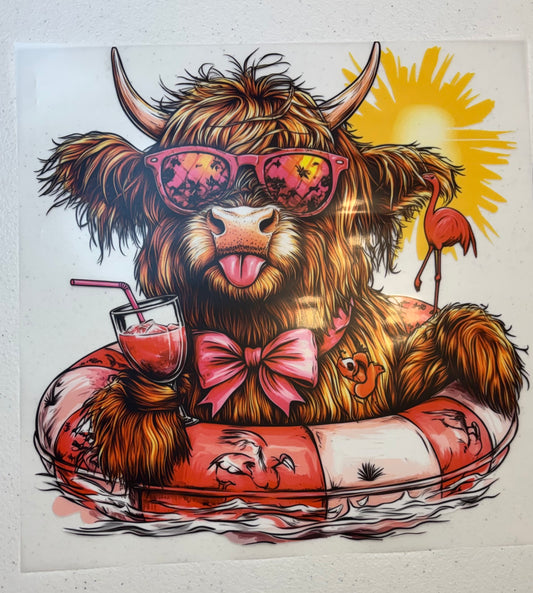 130LC Highland cow summer ￼