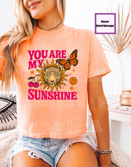 You Are My Sunshine
