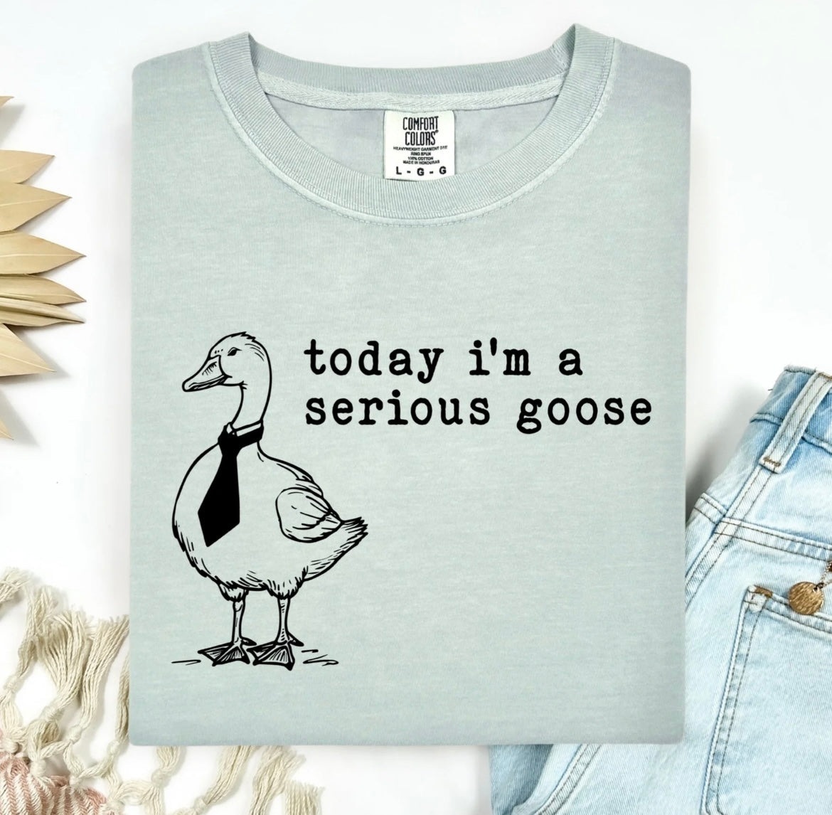 Today I’m A Serious Goose