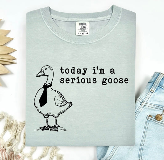 Today I’m A Serious Goose